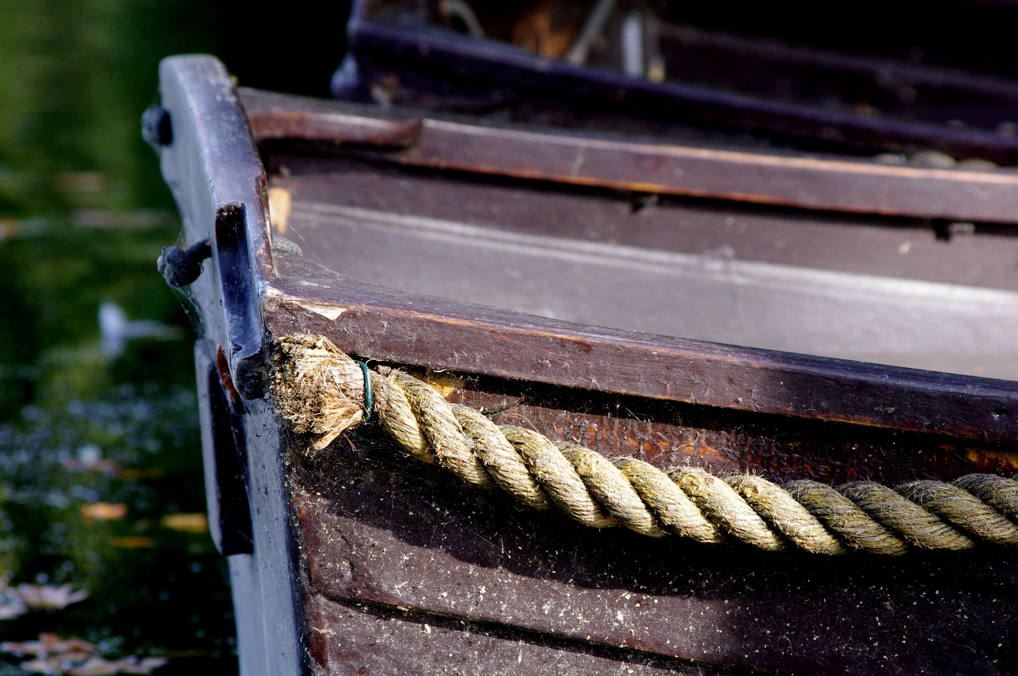 smc PENTAX-DA L 55-300mm F4-5.8 ED sample photo. At the boating lake photography