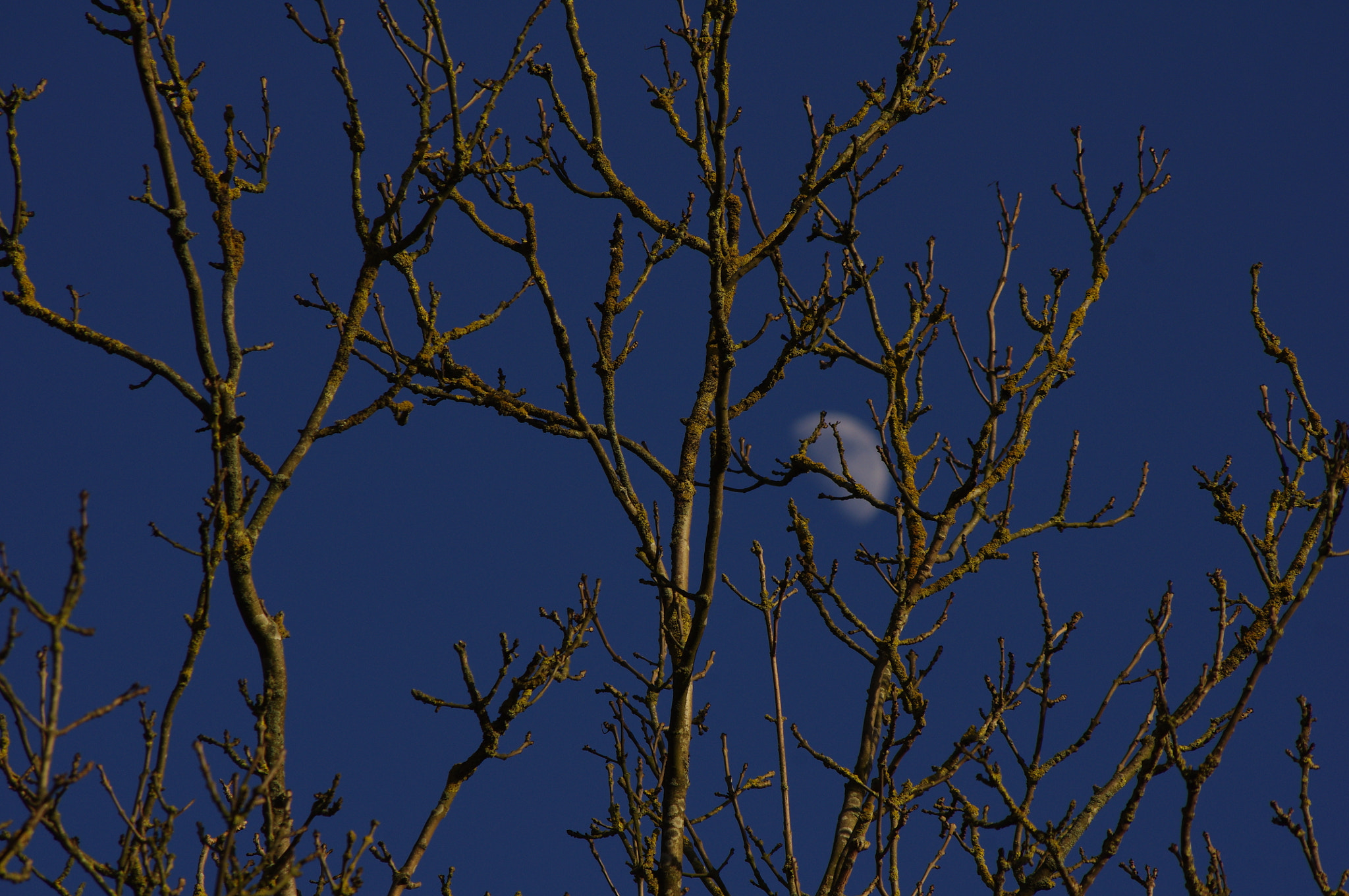 smc PENTAX-DA L 55-300mm F4-5.8 ED sample photo. Moon rising photography