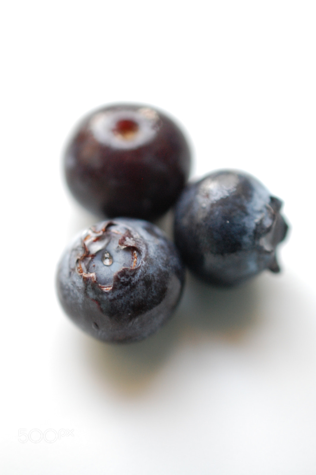 Nikon AF-S DX Micro Nikkor 40mm F2.8 sample photo. Blueberries photography