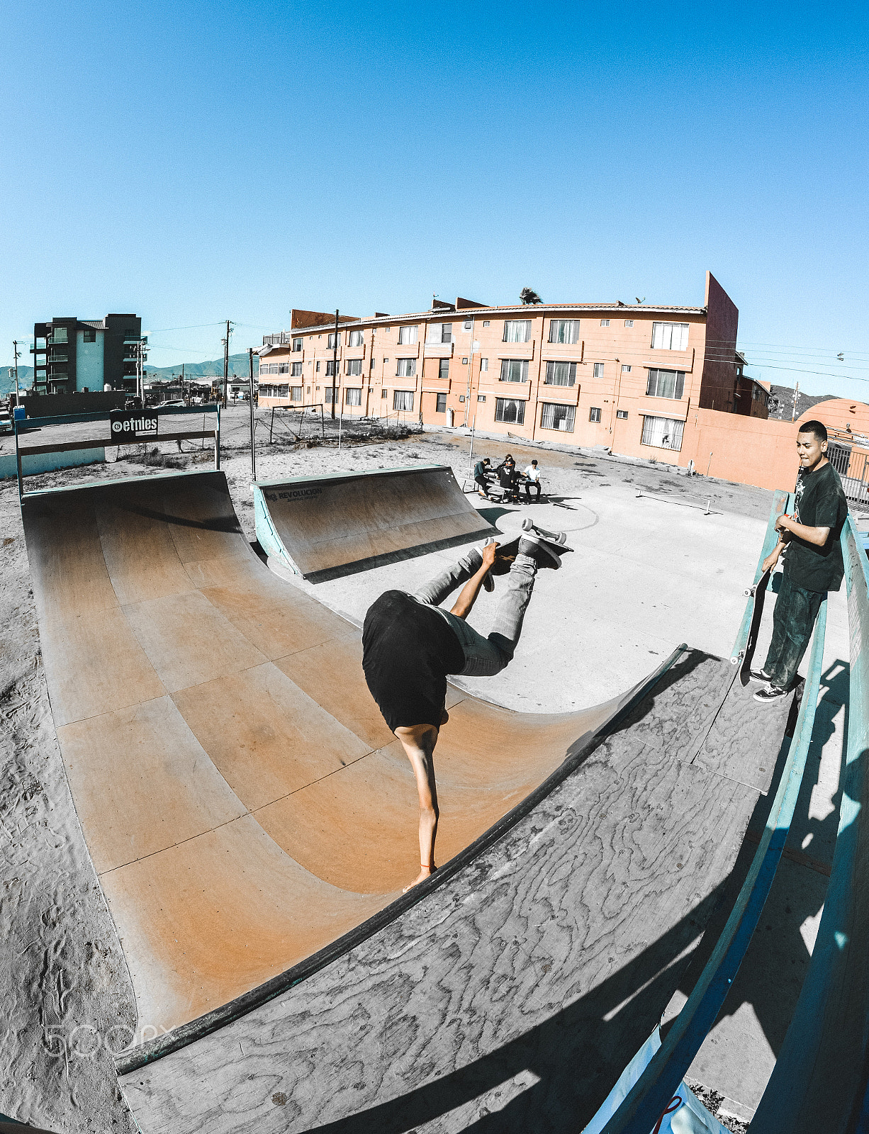 Nikon D3200 + Samyang 8mm F3.5 Aspherical IF MC Fisheye sample photo. Hand plant photography