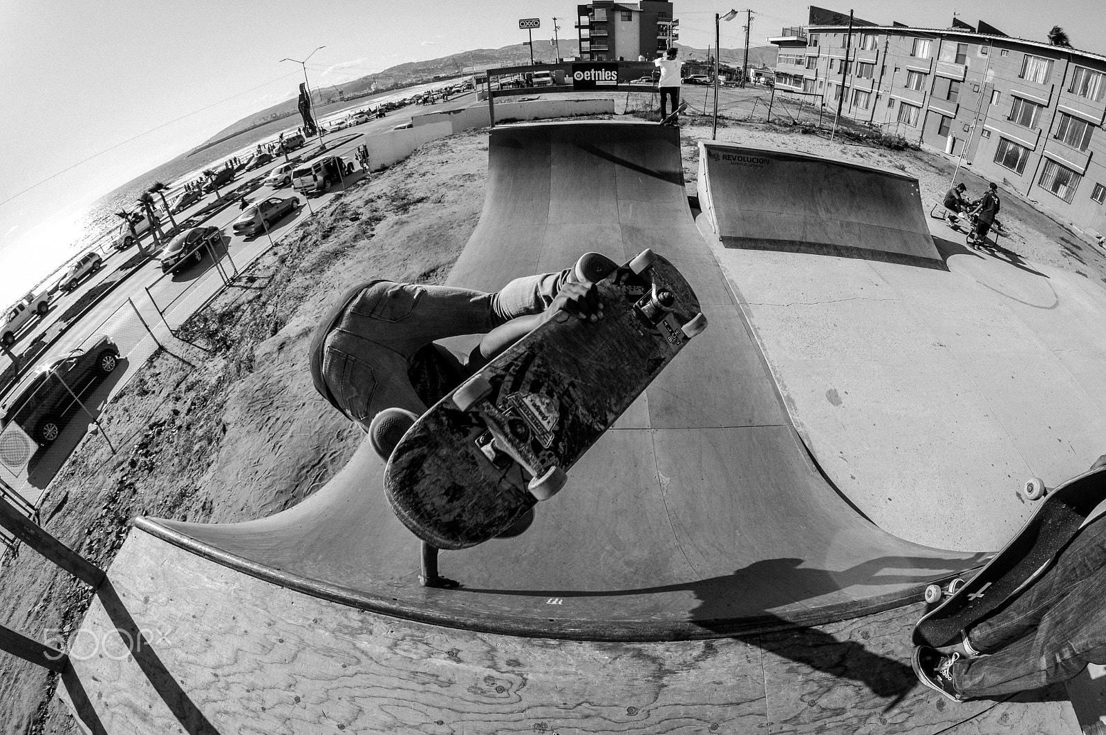 Nikon D3200 + Samyang 8mm F3.5 Aspherical IF MC Fisheye sample photo. Hand plant photography