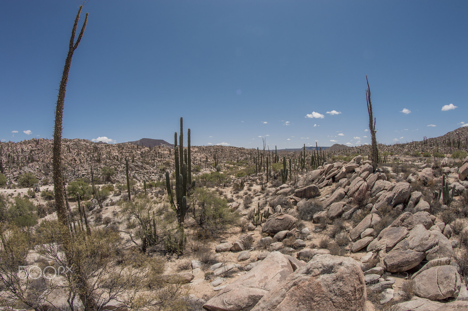 Nikon D3200 + Samyang 8mm F3.5 Aspherical IF MC Fisheye sample photo. Desert photography