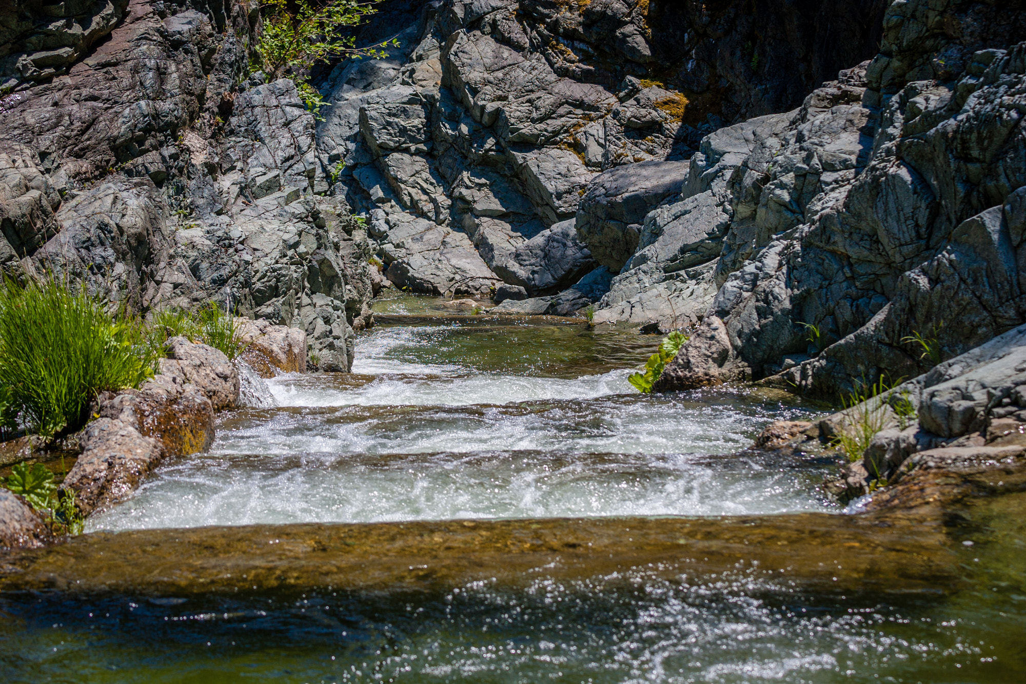 Canon EF 80-200mm f/2.8L sample photo. Fish ladder photography