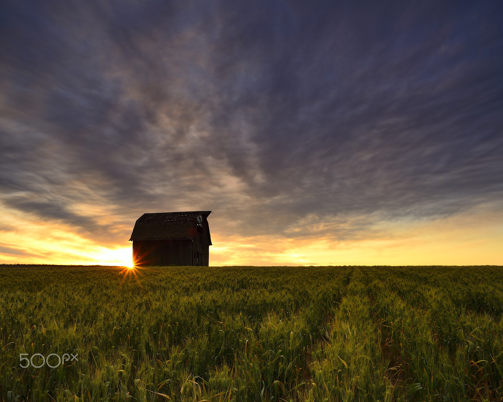 Nikon D800 + Nikon AF Nikkor 24mm F2.8D sample photo. Good morning sleepy head photography