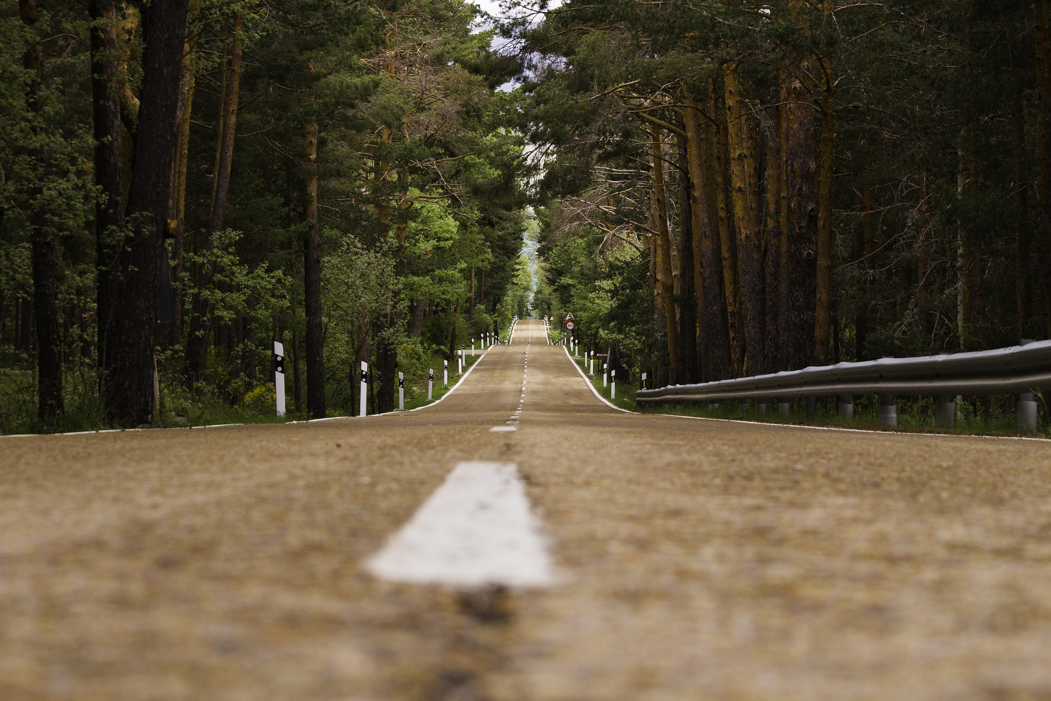 Canon EF 70-300mm F4-5.6 IS USM sample photo. Country road  photography