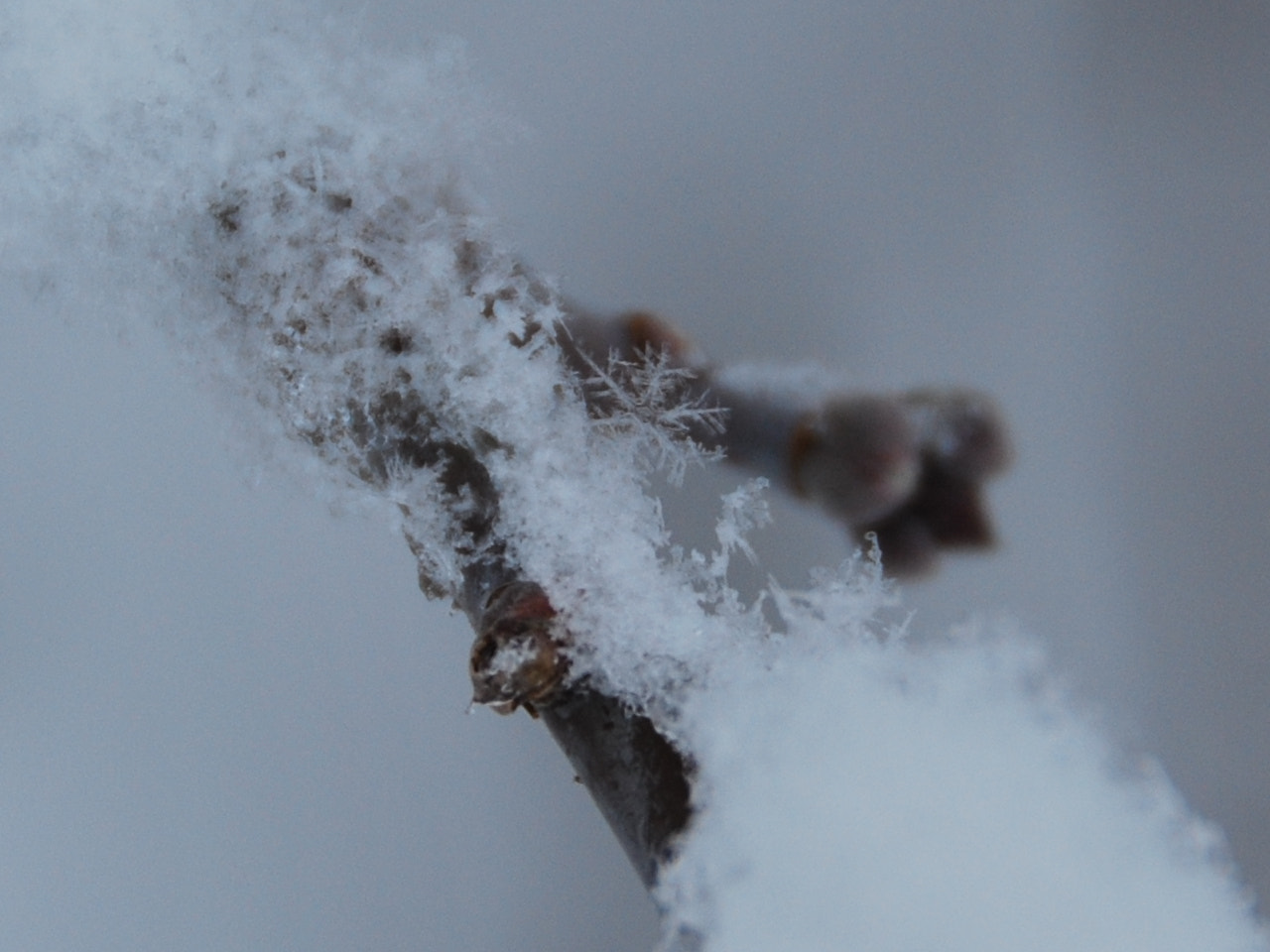 Nikon D60 sample photo. Snow photography