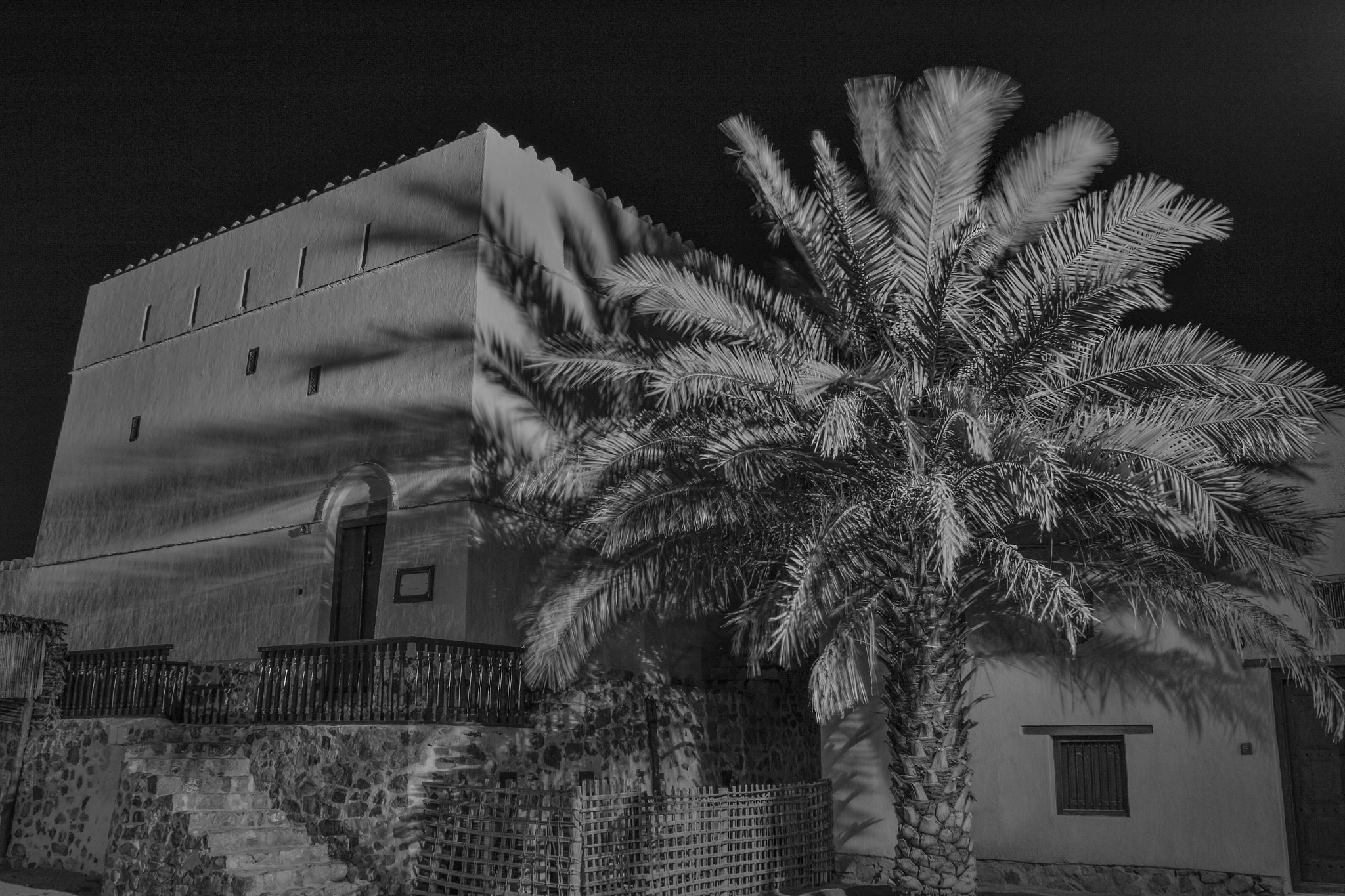 Canon 18-300mm sample photo. Black and white photography