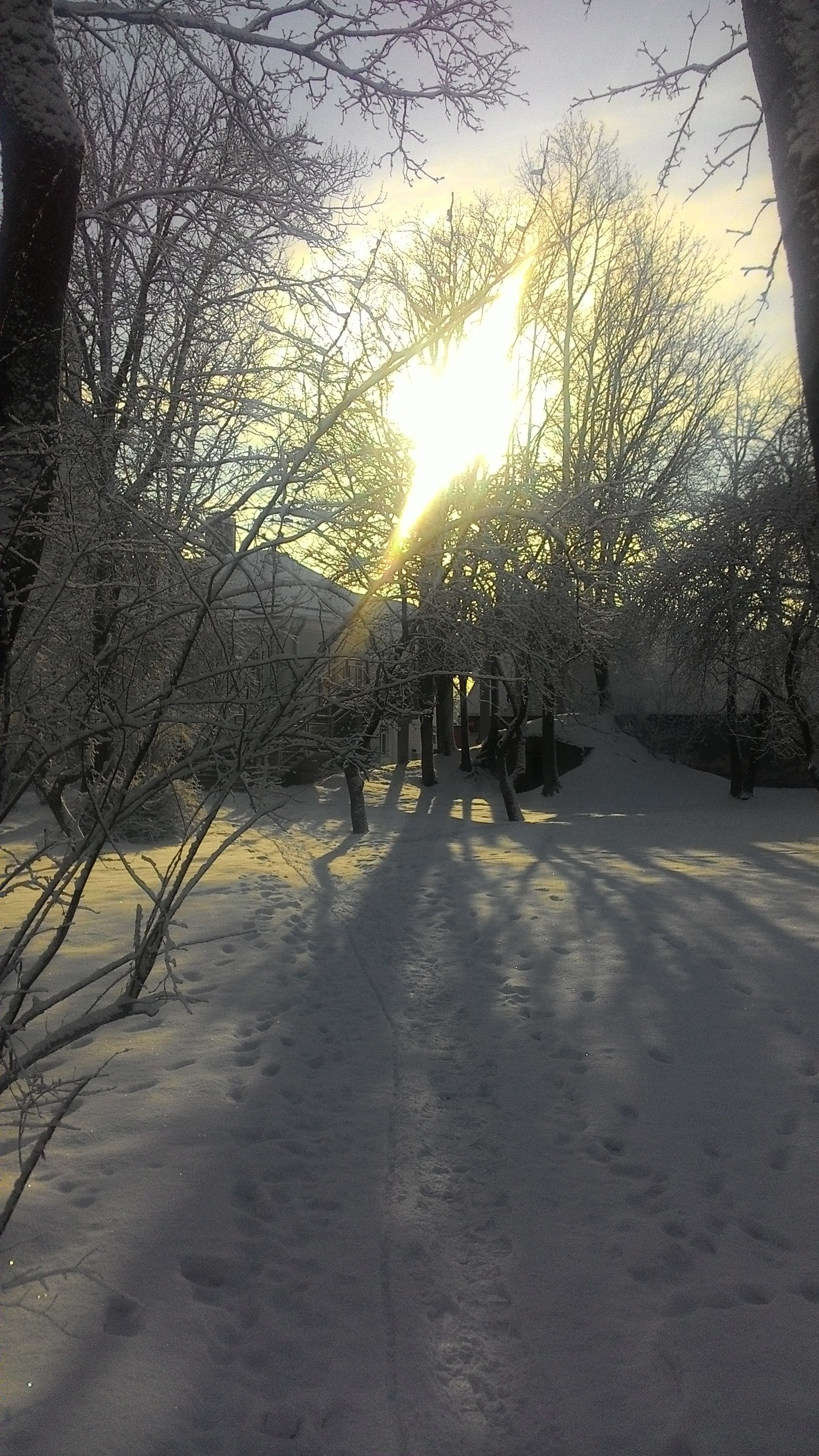 ASUS ZenFone 4 (A450CG) sample photo. Winter morning photography