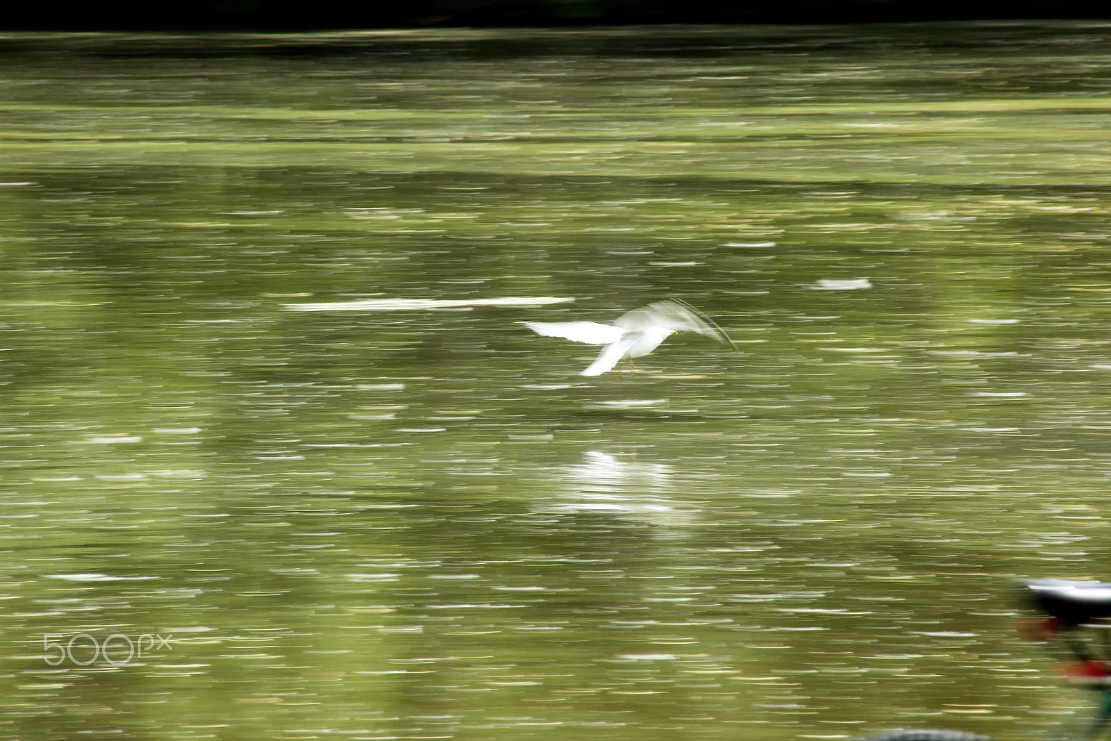 Canon EF 75-300mm f/4-5.6 USM sample photo. Painting with photography photography
