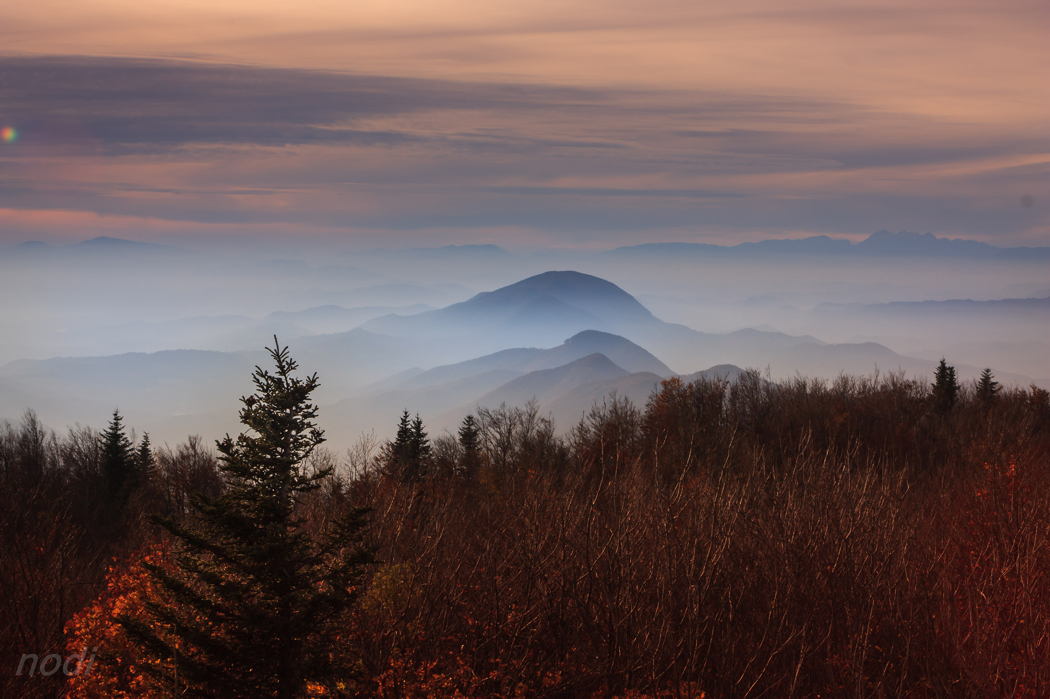 Canon EF 55-200mm F4.5-5.6 II USM sample photo. Autumn forest photography