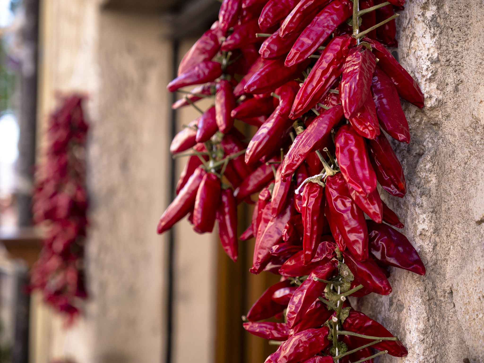 Panasonic Lumix DMC-GX7 sample photo. Peperoncino di calabria photography