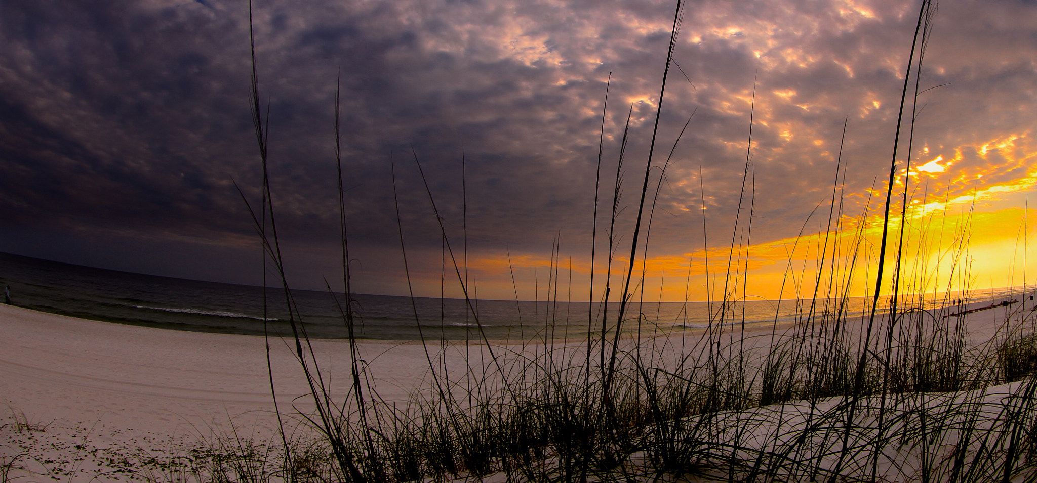 Canon EF 8-15mm F4L Fisheye USM sample photo. Beach night photography