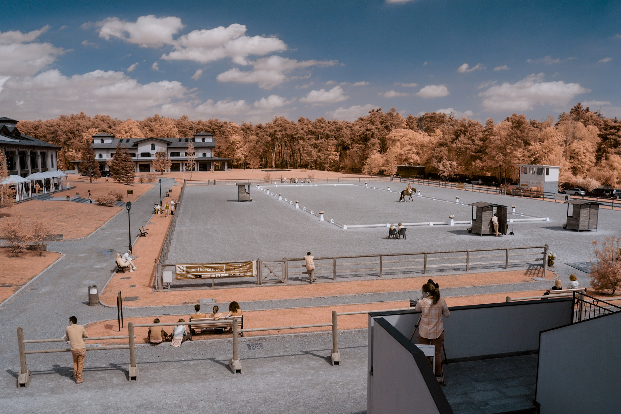 Nikon D200 sample photo. Infrared horsefield photography