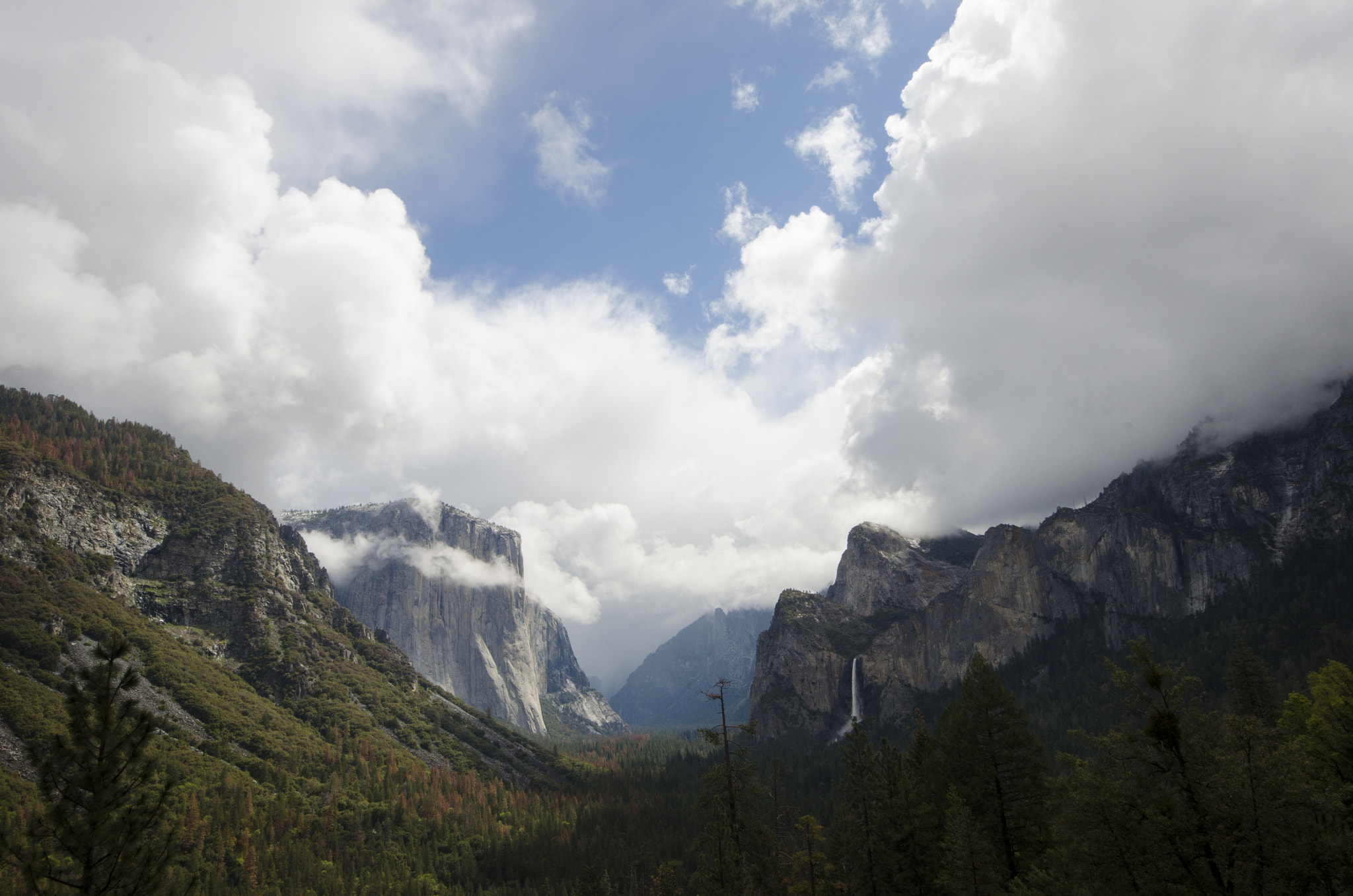 Sigma 8-16mm F4.5-5.6 DC HSM sample photo. Yosemite national park photography