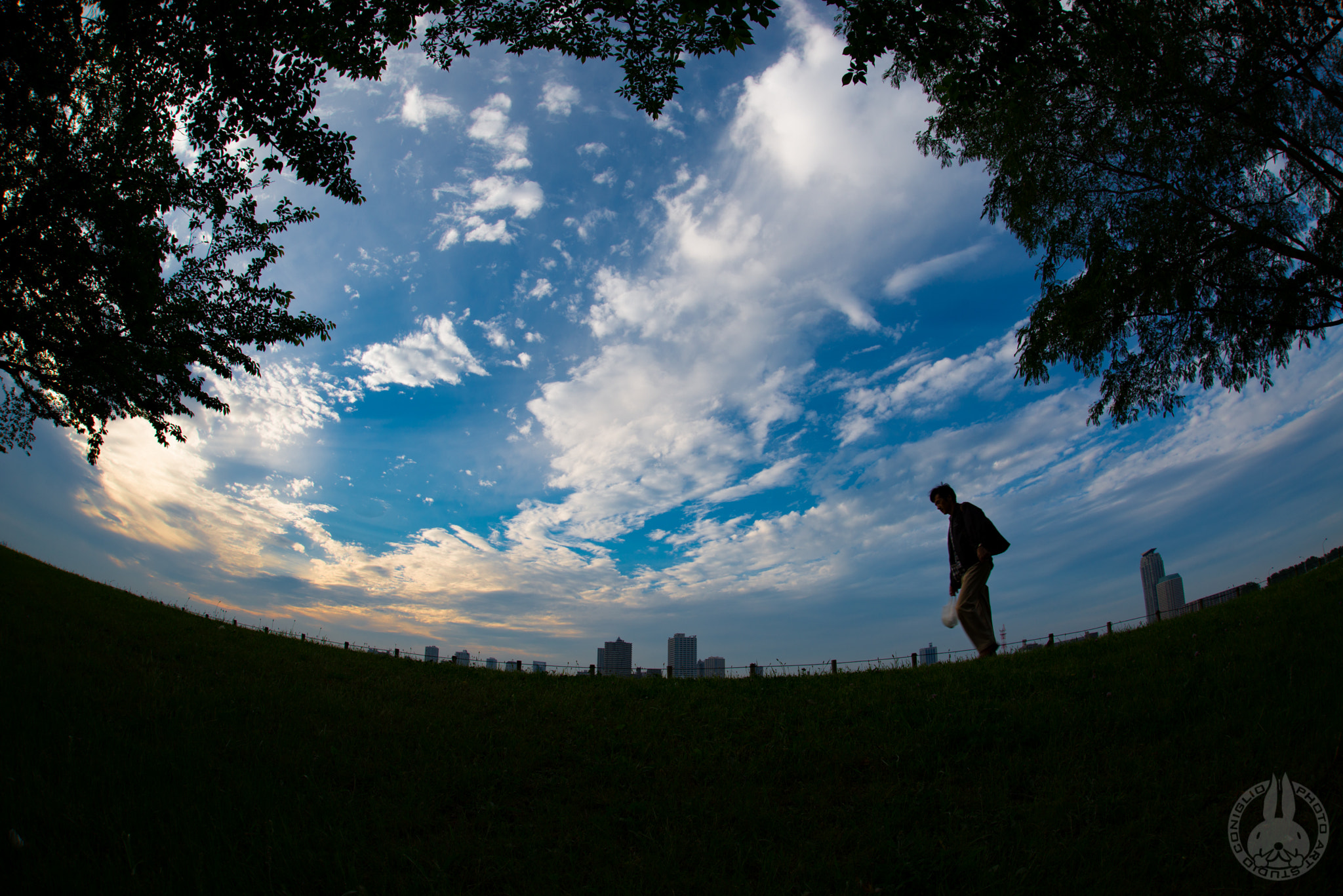 Nikon D800E + Sigma 15mm F2.8 EX DG Diagonal Fisheye sample photo. Before dark. photography