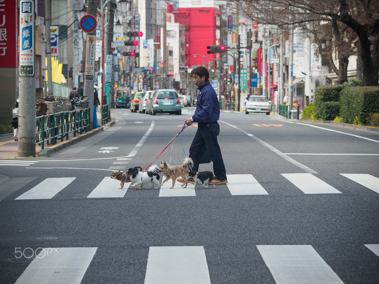 Olympus OM-D E-M5 II + Olympus M.Zuiko Digital ED 75mm F1.8 sample photo