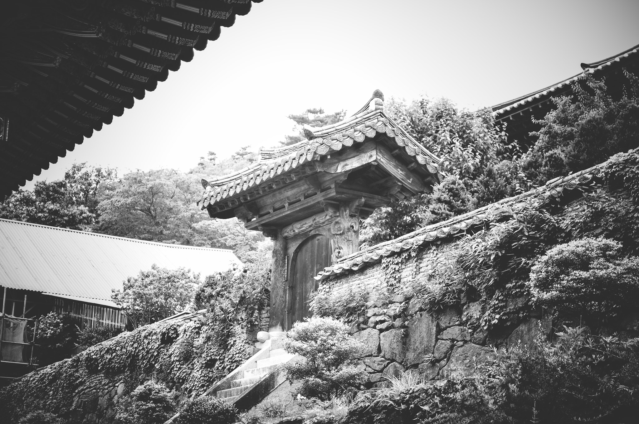 Nikon AF-S Nikkor 28-70mm F2.8 ED-IF sample photo. Songgwang temple photography