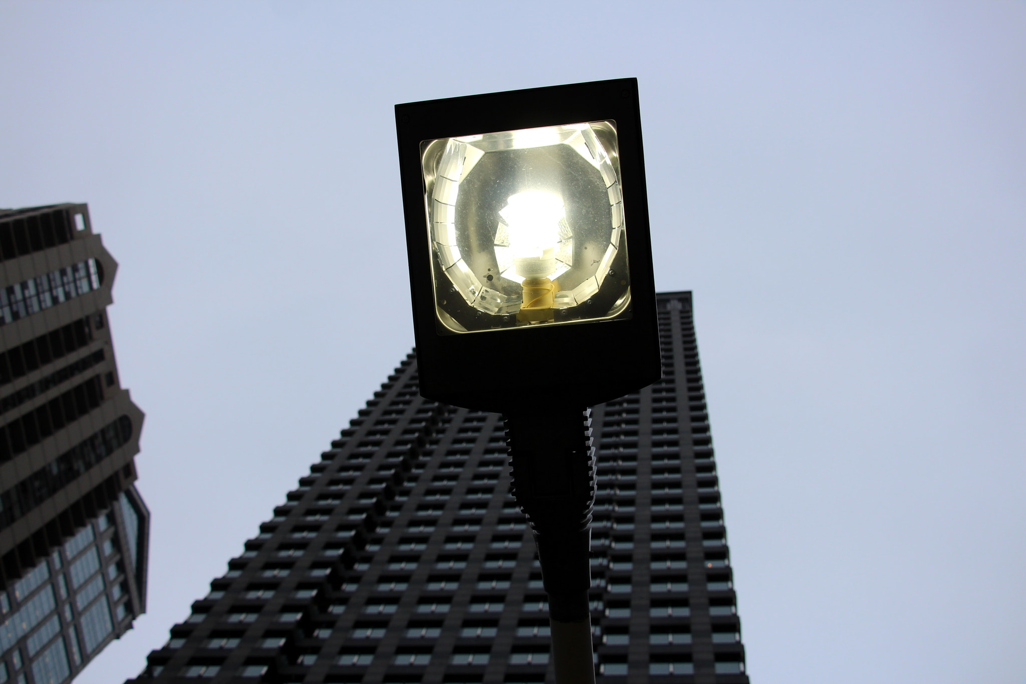 Canon EOS 650D (EOS Rebel T4i / EOS Kiss X6i) sample photo. Halo photography