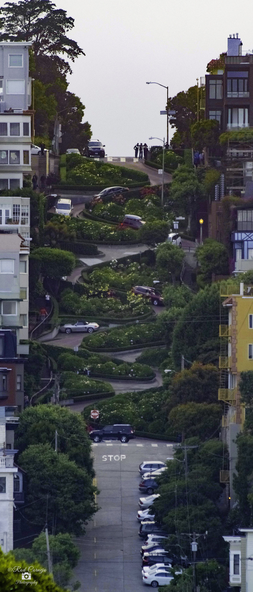 Olympus Zuiko Digital ED 70-300mm F4.0-5.6 sample photo. Lombard street... photography