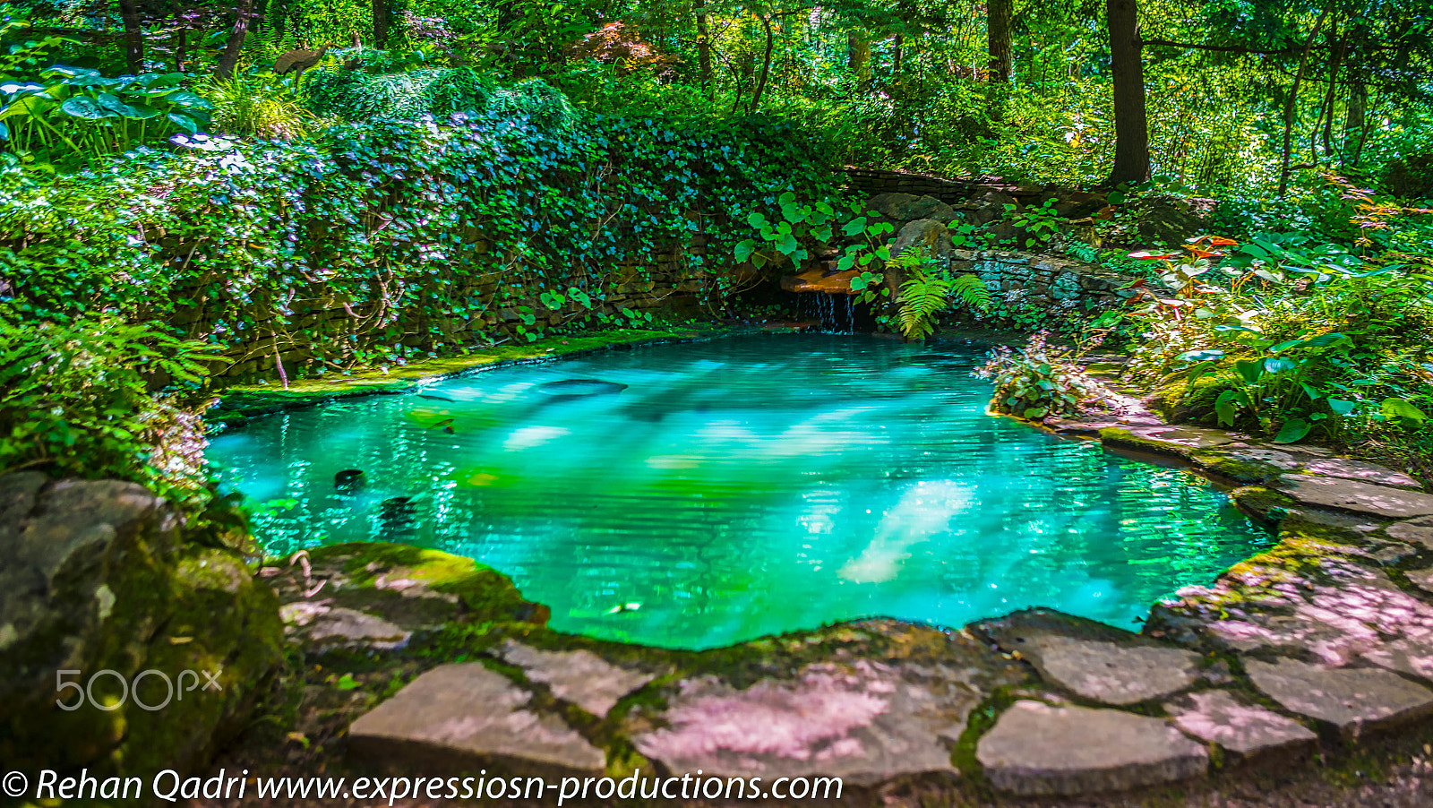 Sony a7R II + Canon EF 24-70mm F2.8L USM sample photo. Gibbs garden pond photography