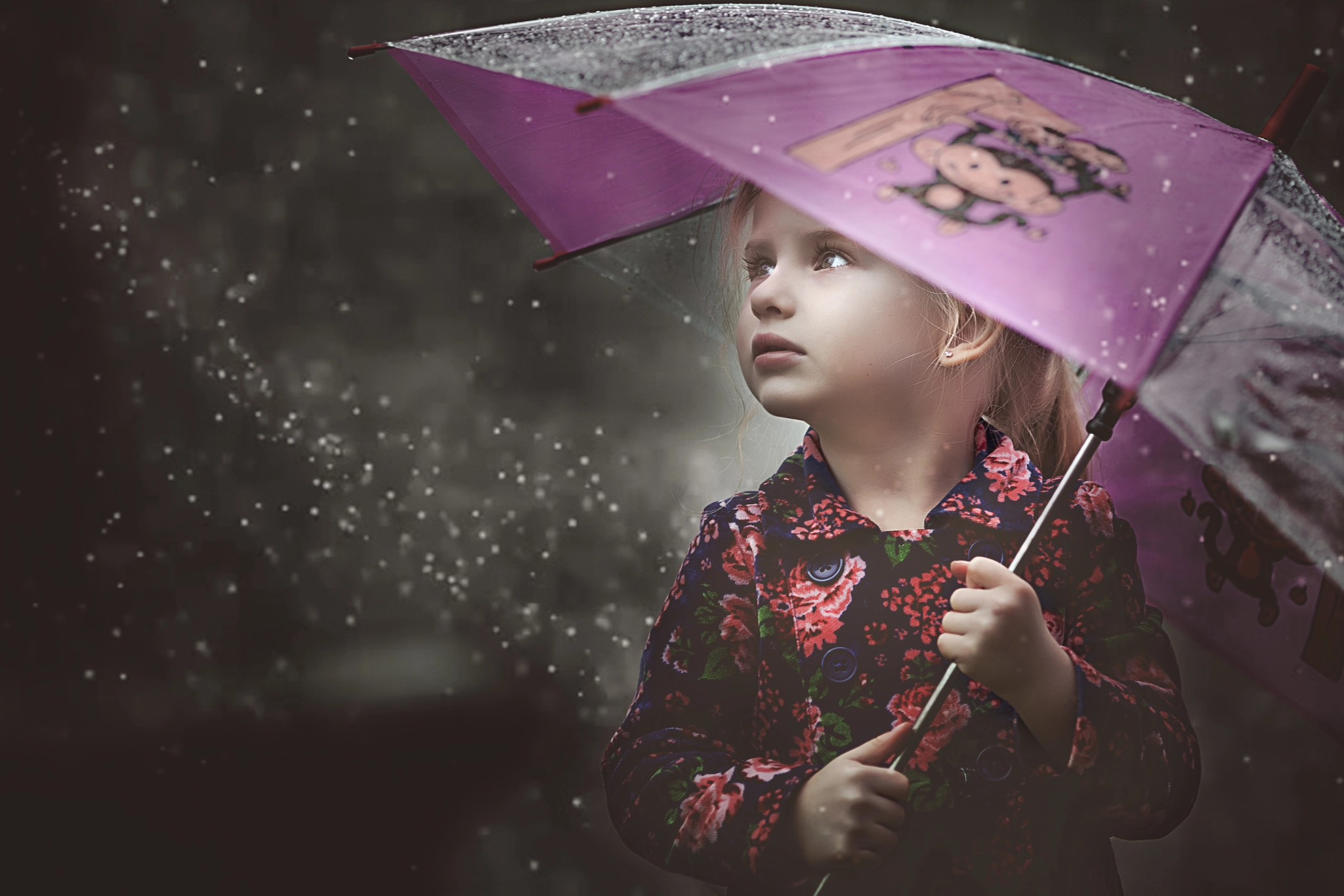 Canon EF 200mm F2.8L II USM sample photo. Rain photography