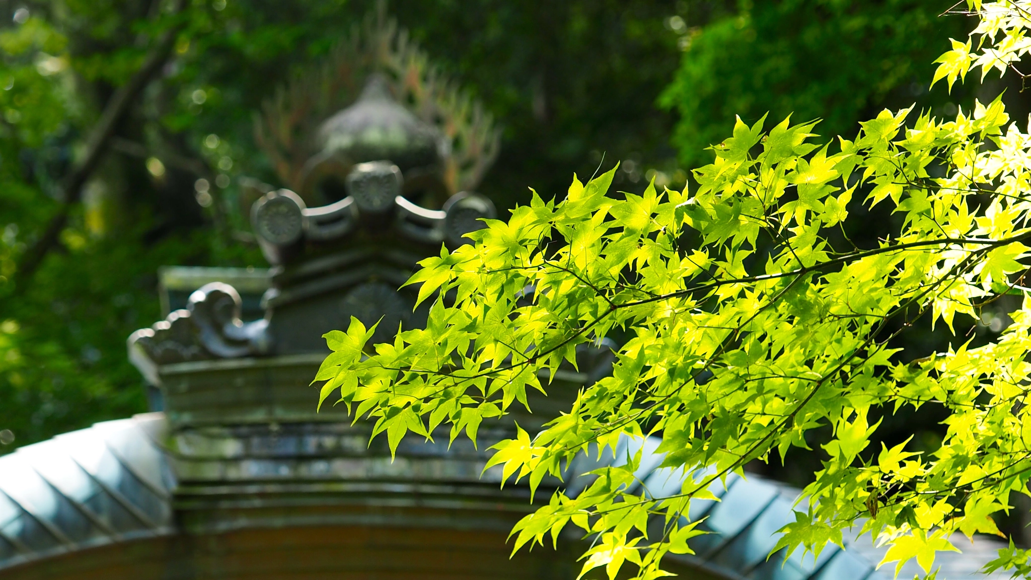 Olympus PEN E-PL7 sample photo. The abdicated emperor kameyama's charnel house photography