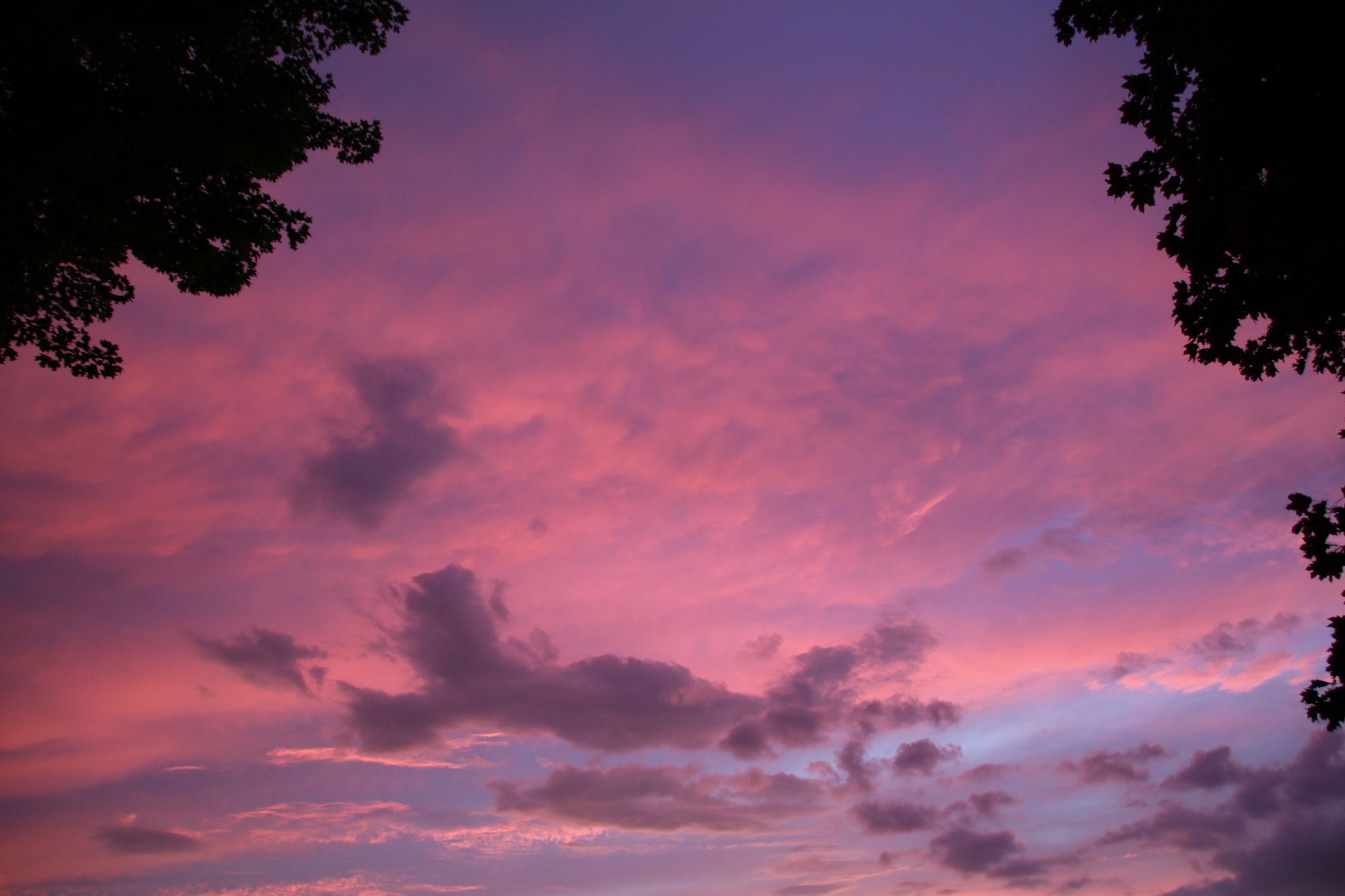 Sigma 18-250mm F3.5-6.3 DC OS HSM sample photo. Cotten candy skies photography