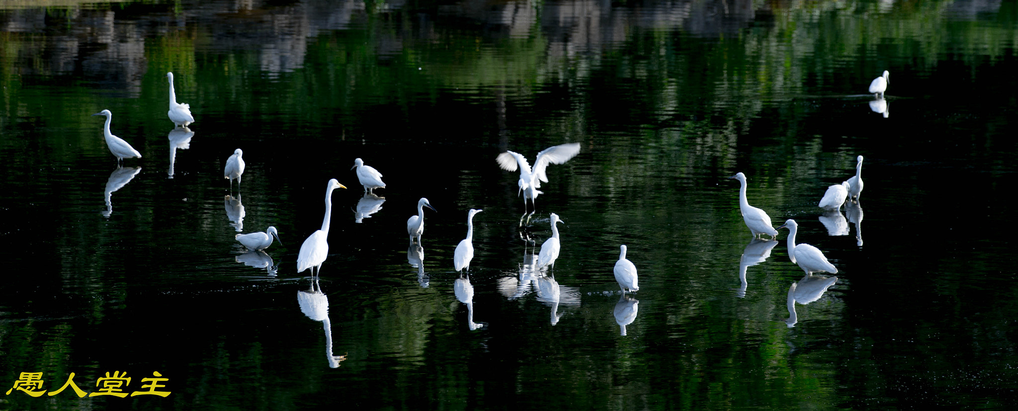 Canon EF 70-200mm F2.8L IS II USM sample photo. B20x4782-1.jpg photography