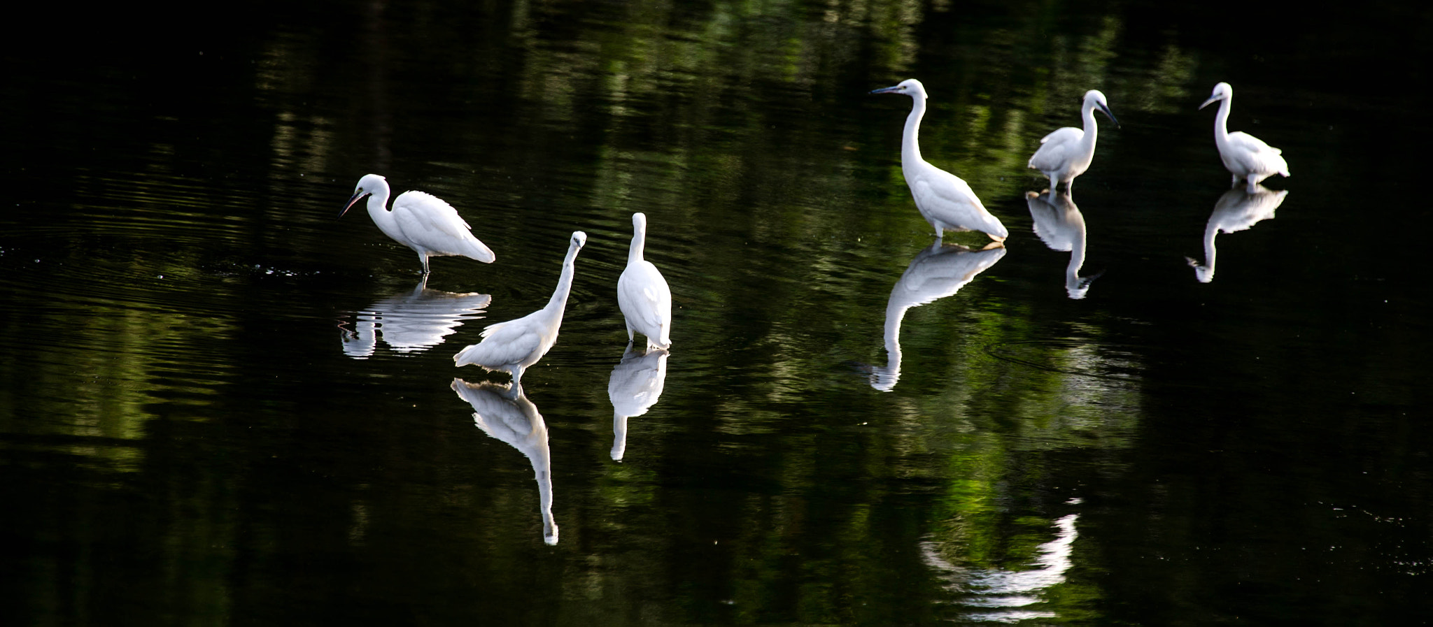 Canon EF 70-200mm F2.8L IS II USM sample photo. B20x4802-1-2.jpg photography