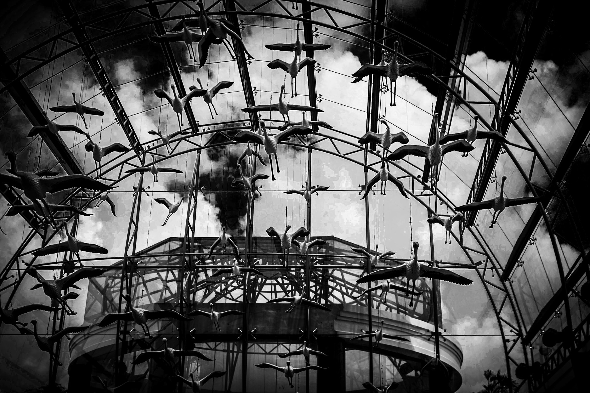 Canon EOS 40D sample photo. Lost bird photography