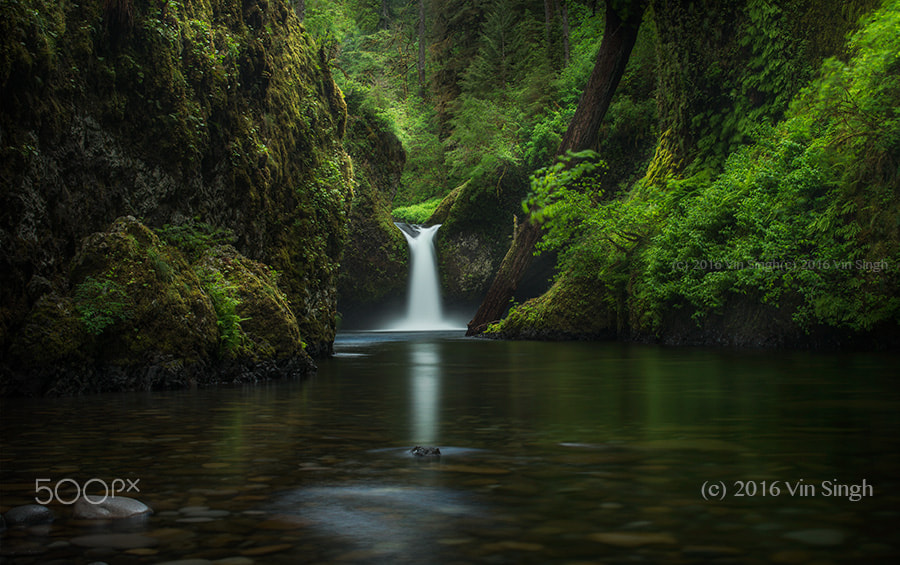 Nikon D800E + Nikon PC-E Nikkor 45mm F2.8D ED Tilt-Shift sample photo. Punchbowl photography