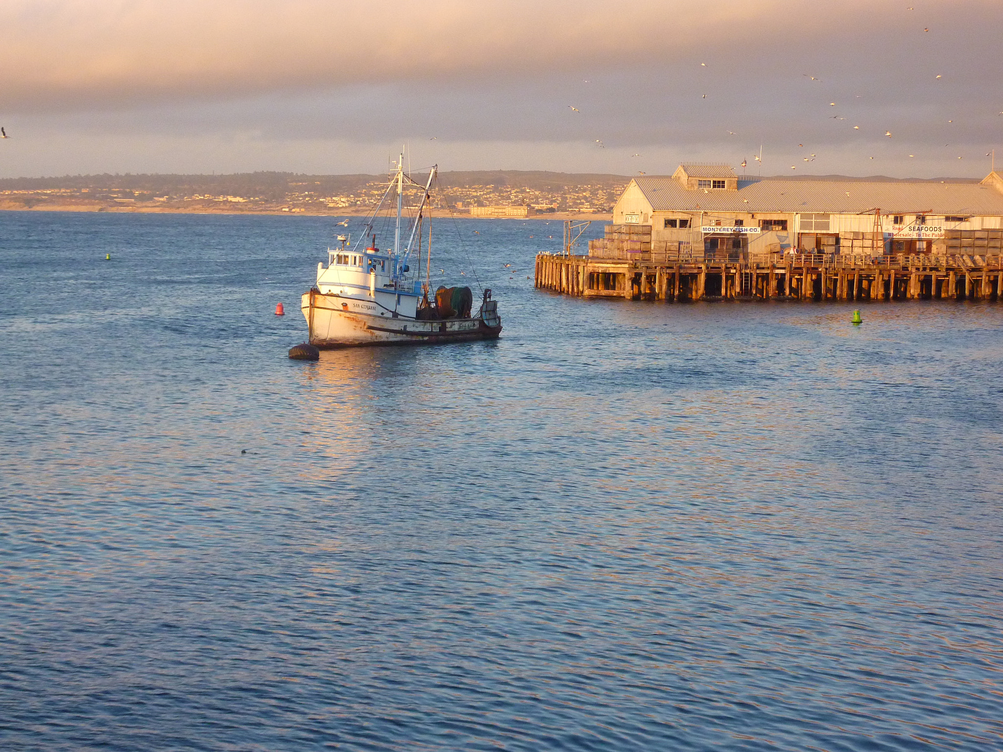 Panasonic DMC-ZS3 sample photo. Boat sunset in monterrey california photography