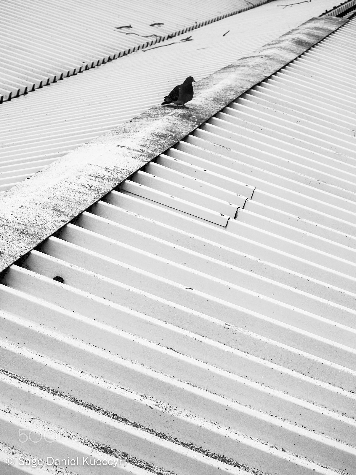 Panasonic Lumix DMC-G7 sample photo. Roof photography