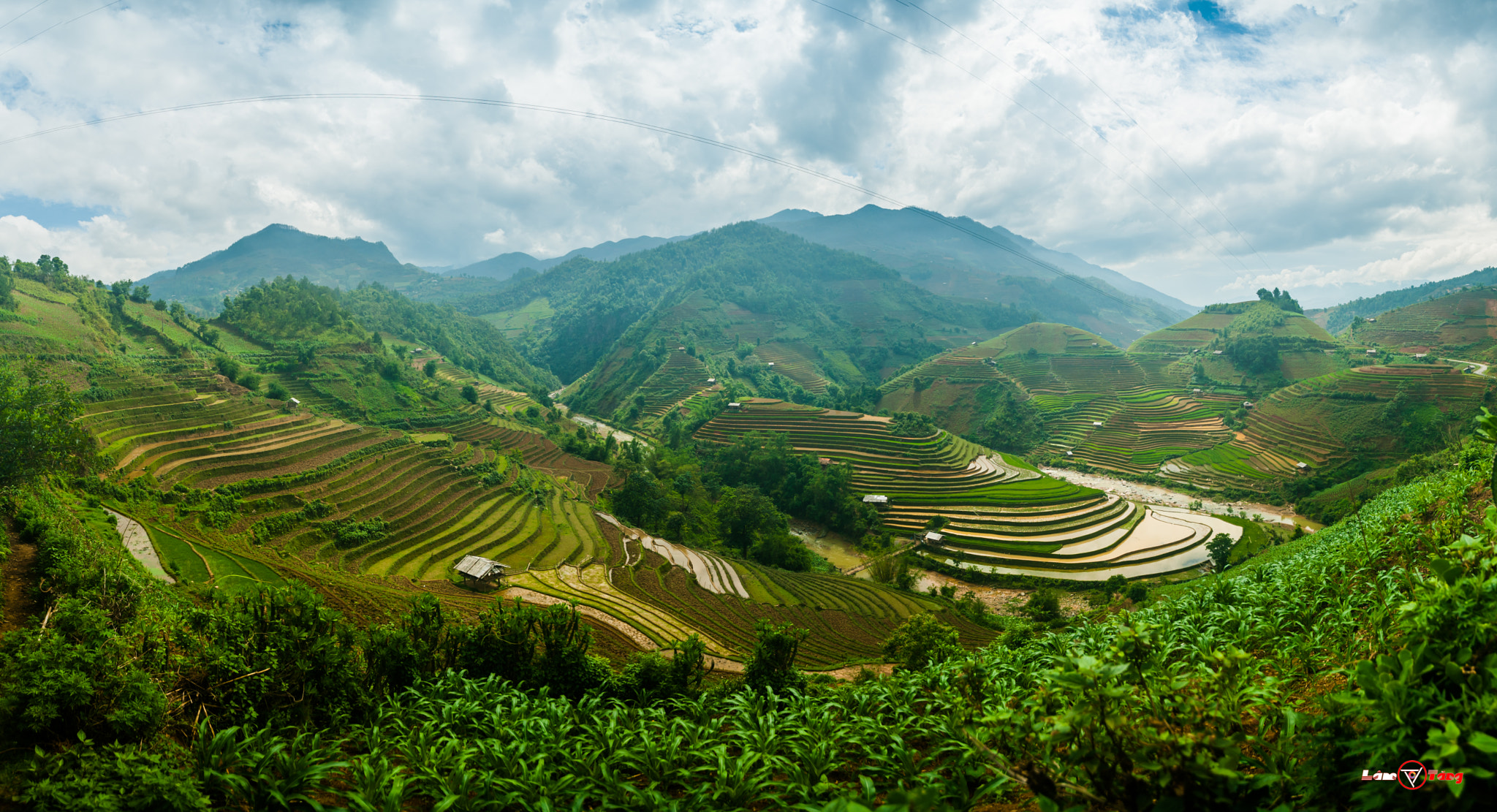 Nikon D3 sample photo. The rice terraces of mu cang chai photography