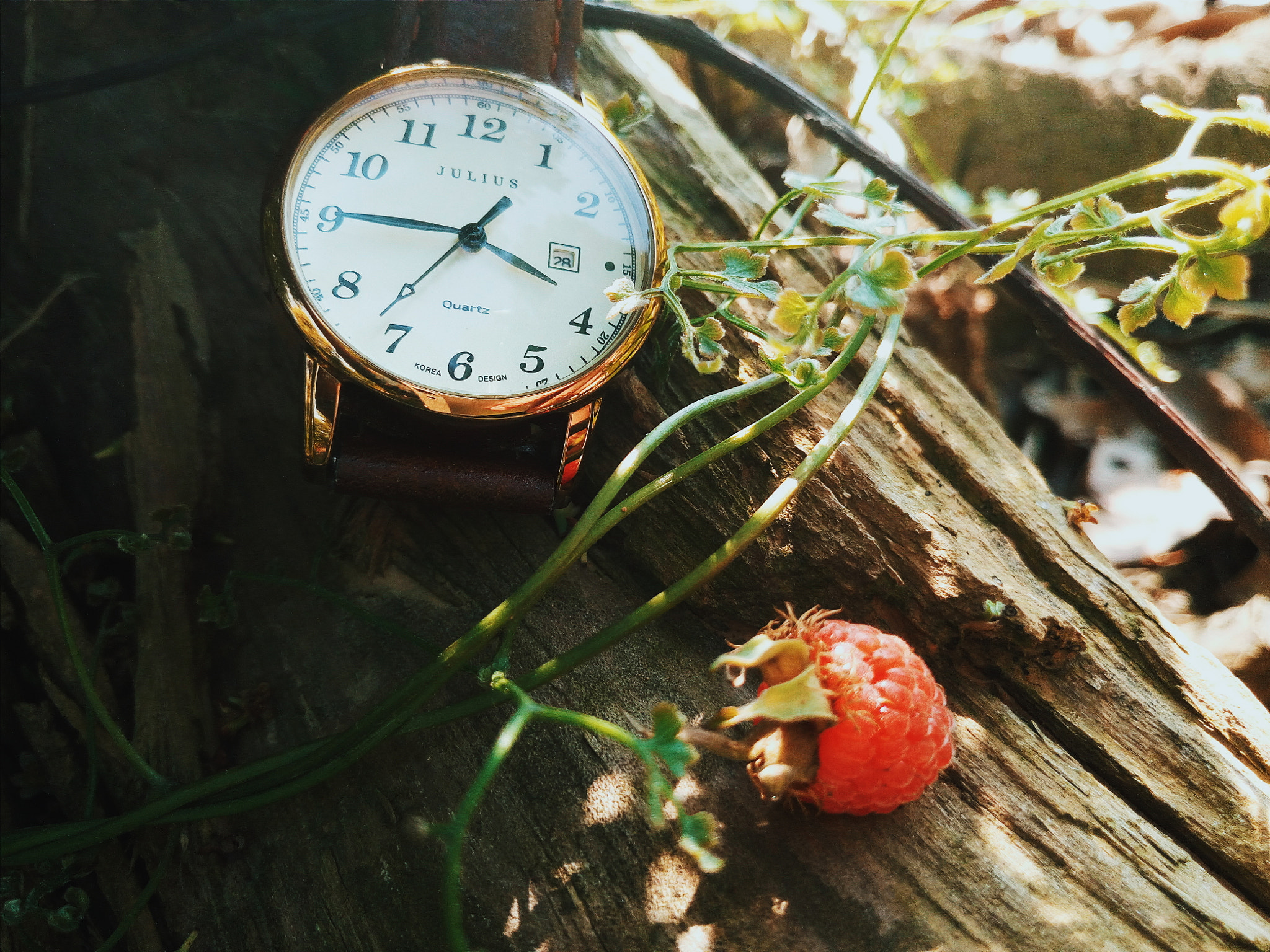 vivo X5S L sample photo. 树莓 photography