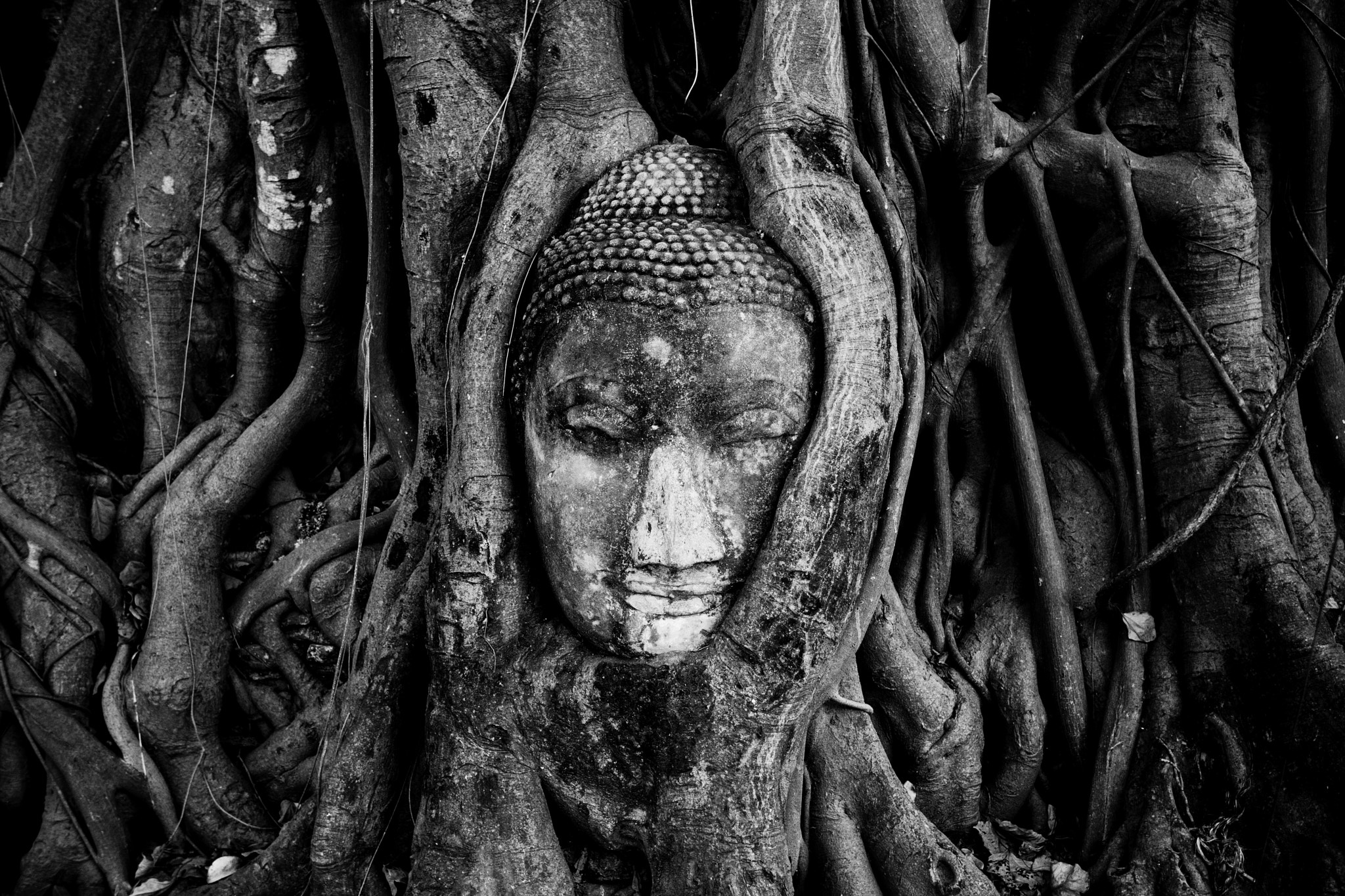 Canon EOS-1D Mark III sample photo. Buddha photography