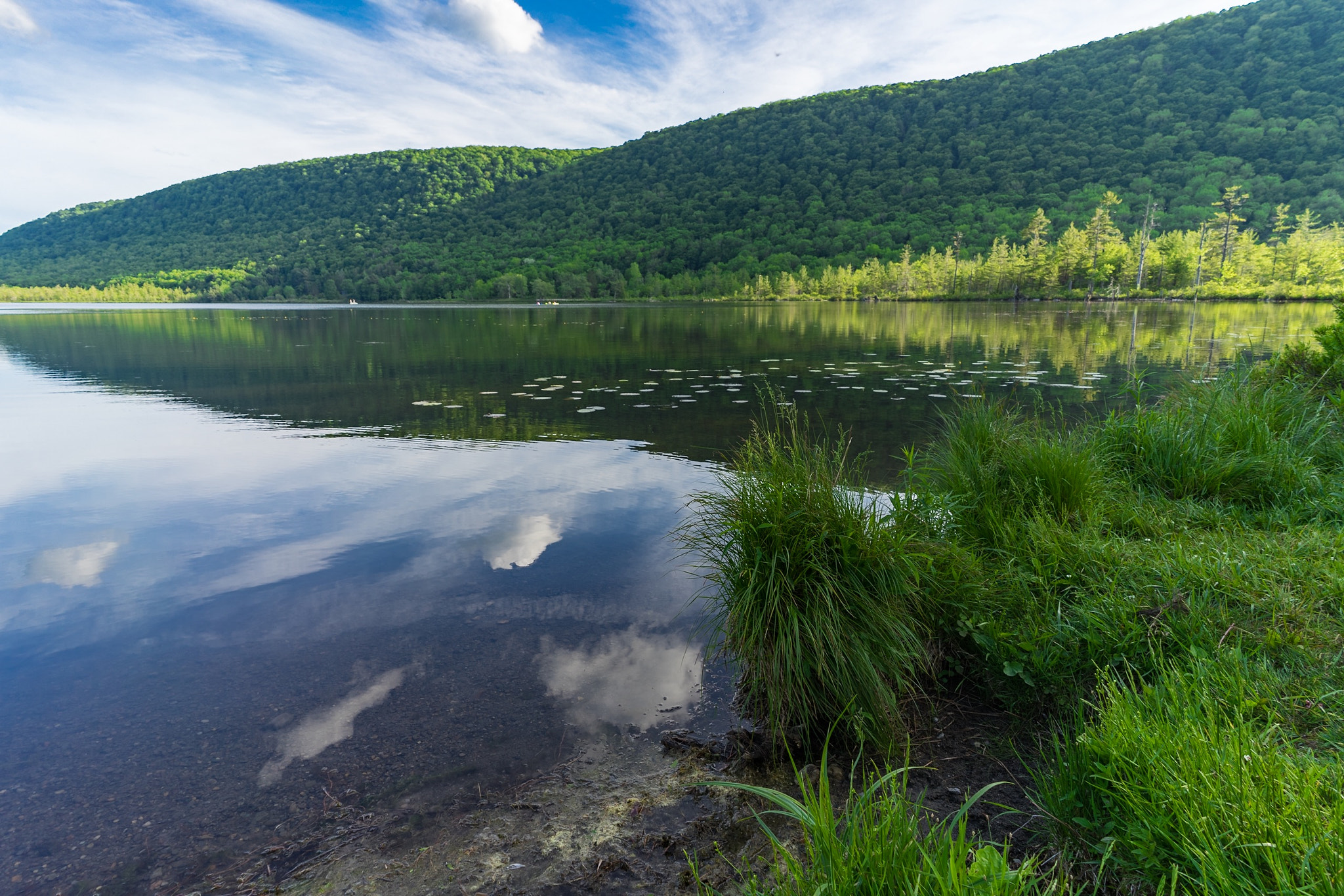 Sony a7 II + Sony FE 28mm F2 sample photo. Labrador hollow near tully, ny. hike up through ti ... photography