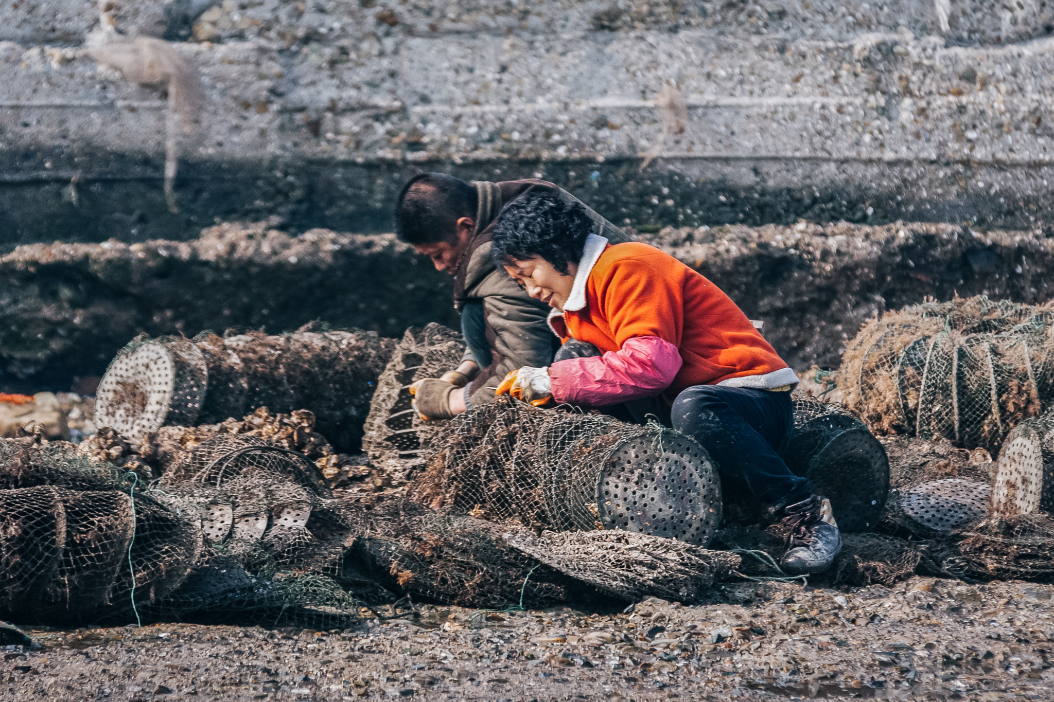 Canon EOS 40D sample photo. Fishery harvesting photography