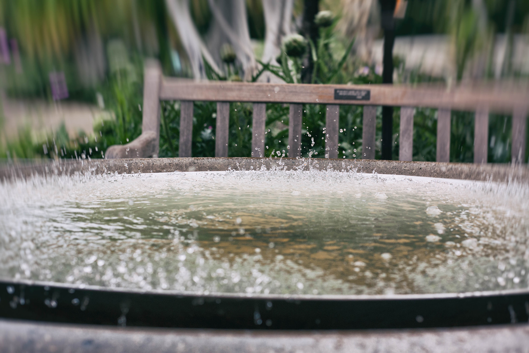 Canon EOS 450D (EOS Rebel XSi / EOS Kiss X2) sample photo. Fountain in motion photography