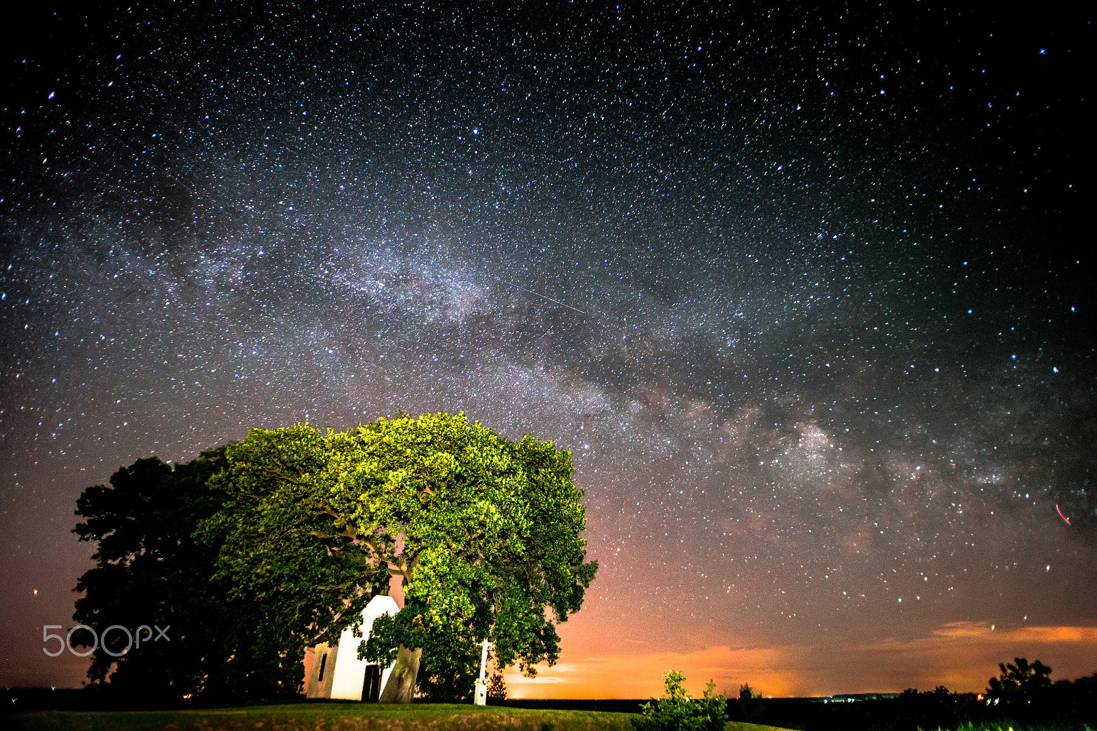 Canon EOS 6D + Tamron SP AF 17-35mm F2.8-4 Di LD Aspherical (IF) sample photo. Tree of the year at night photography