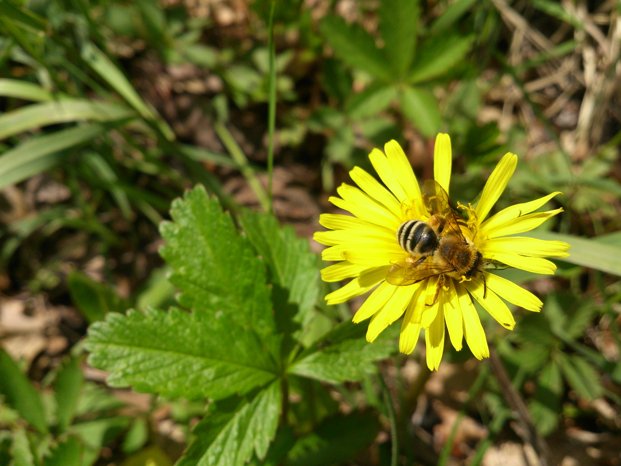 Sony Xperia V sample photo. Dsc_0484.jpg photography