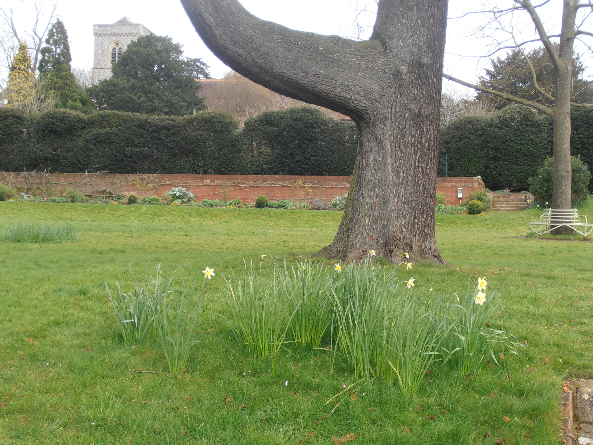 Olympus VR310,D720 sample photo. Landscape gardeners in reading photography