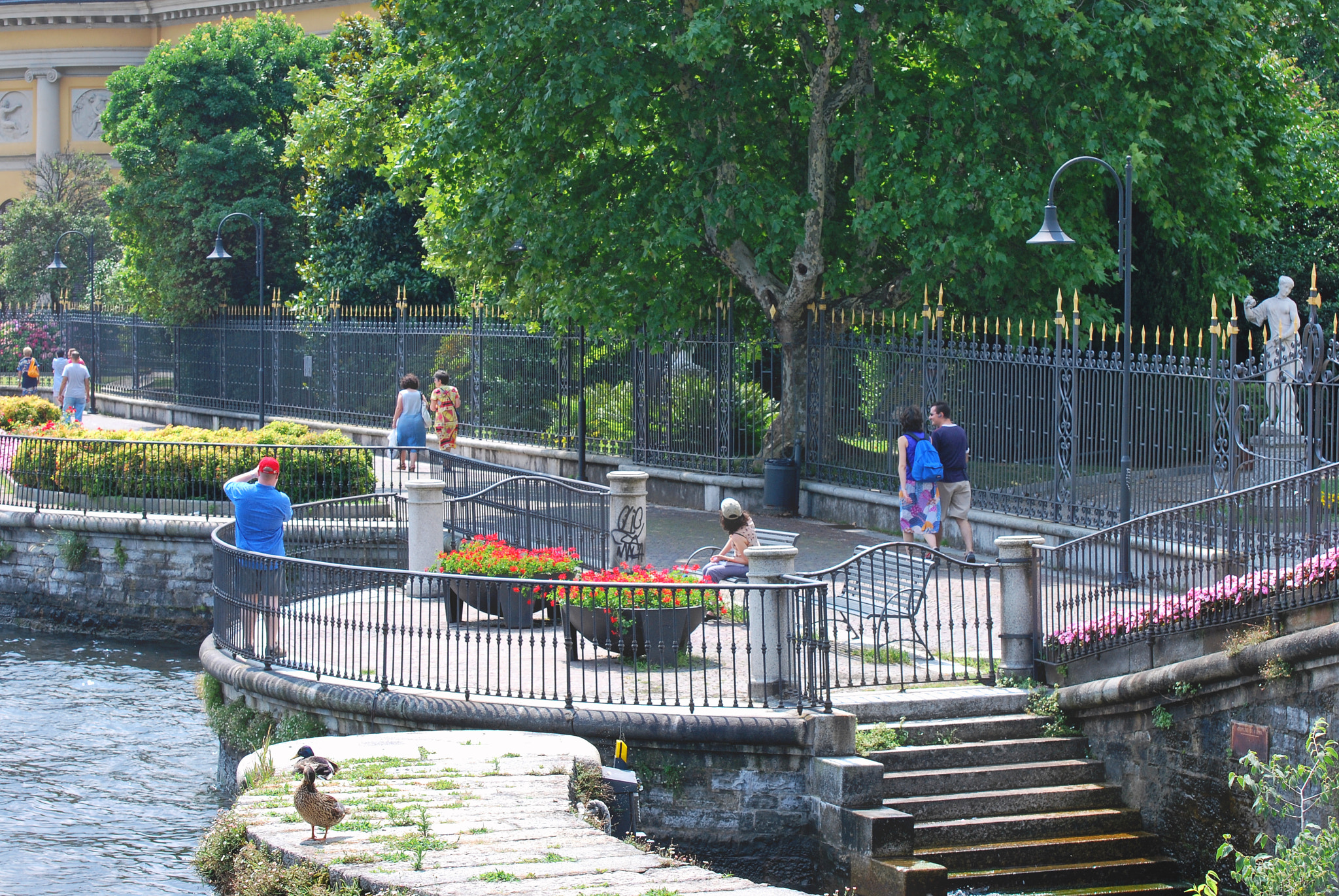 Nikon D60 sample photo. Summer in como photography