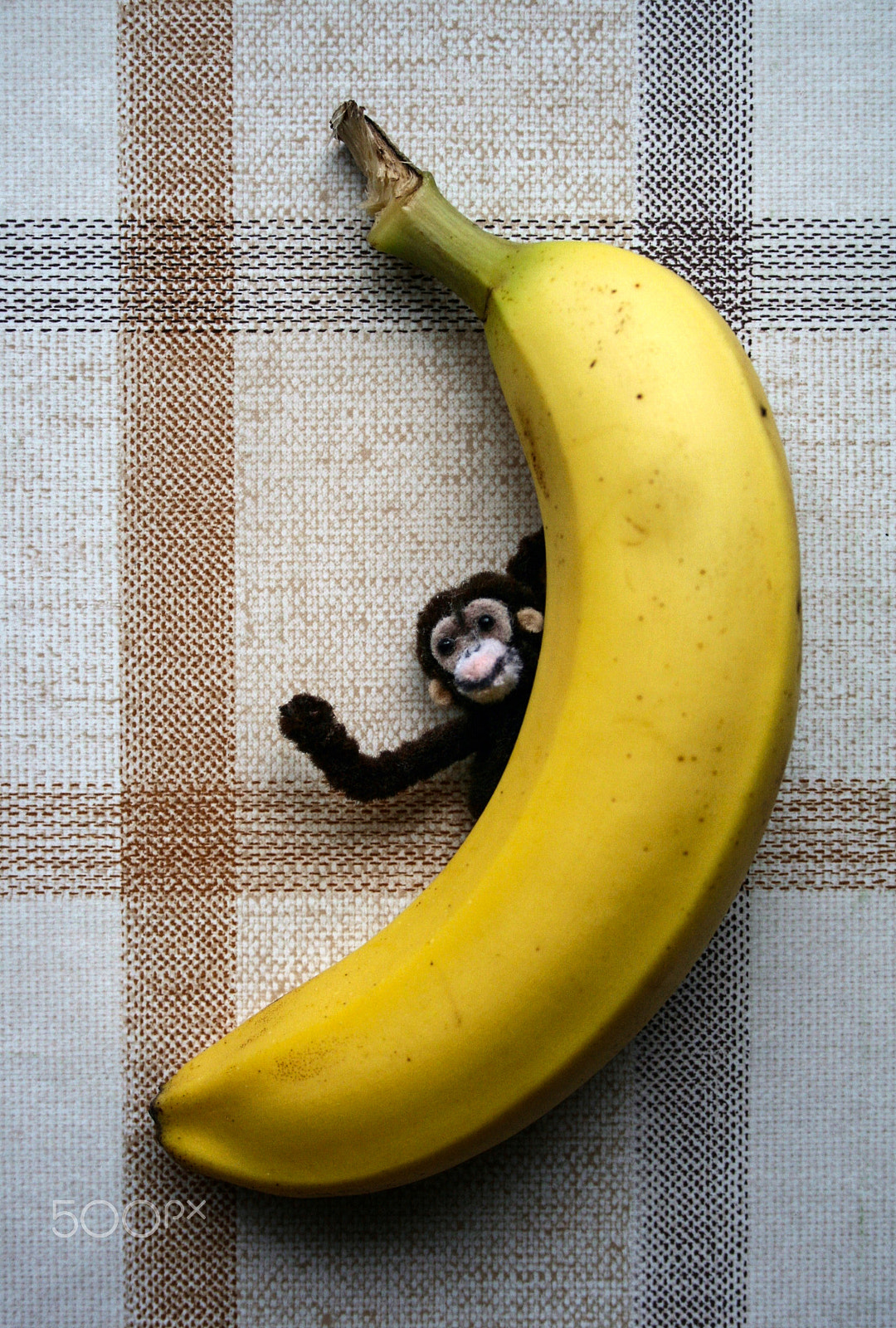 Canon EF 35-70mm f/3.5-4.5 sample photo. Too big banana photography