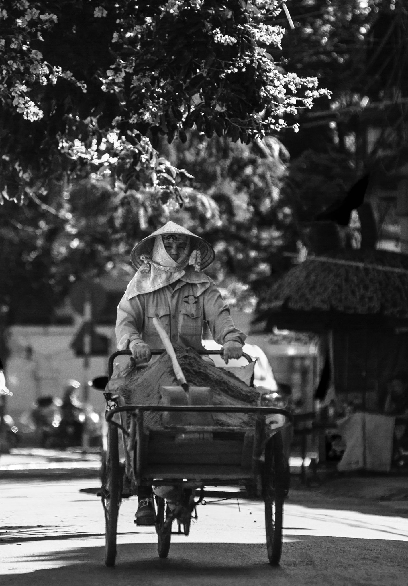 Nikon AF-Nikkor 80-200mm F2.8D ED sample photo
