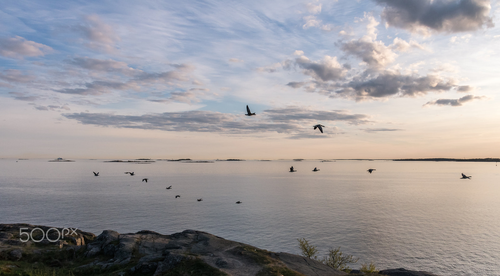 Canon EOS 750D (EOS Rebel T6i / EOS Kiss X8i) sample photo. Flying high.. photography