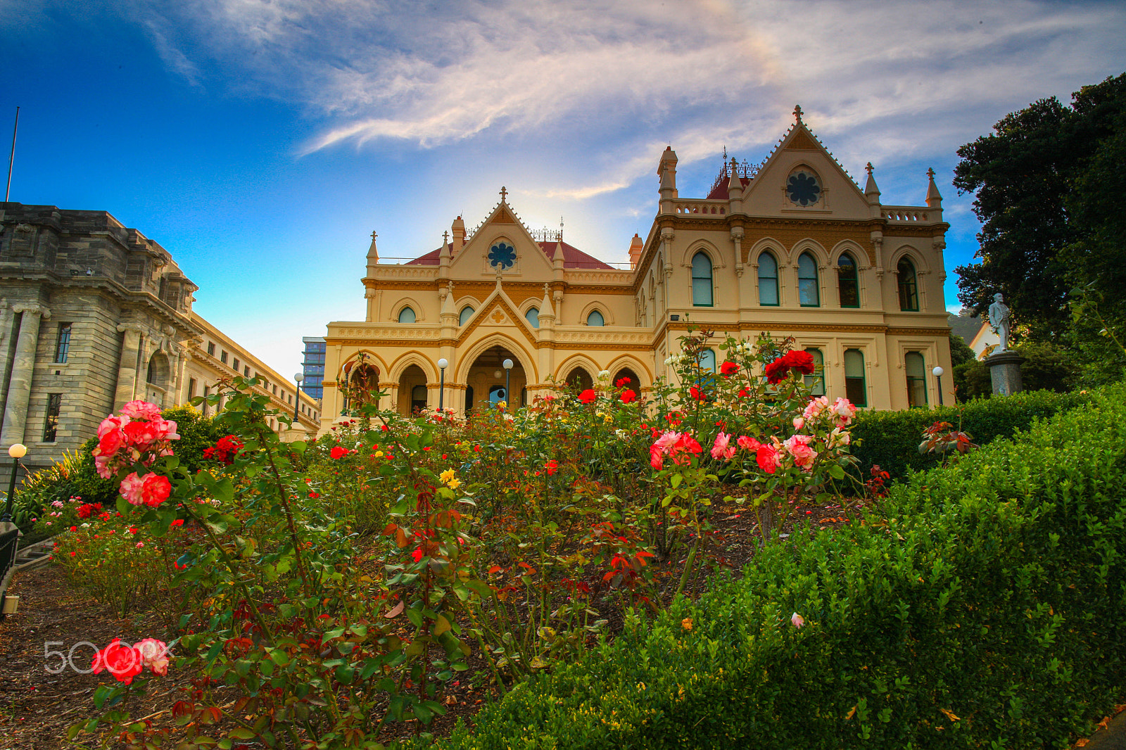 Canon EF 24mm F1.4L II USM sample photo. Parliamentary library rose garden wellington photography
