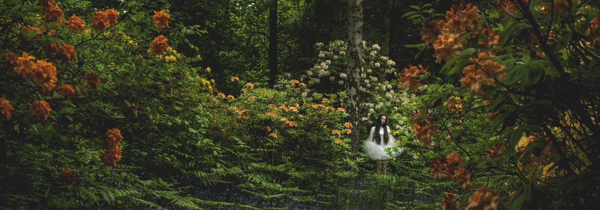 Nikon Df sample photo. Flower fairy. photography