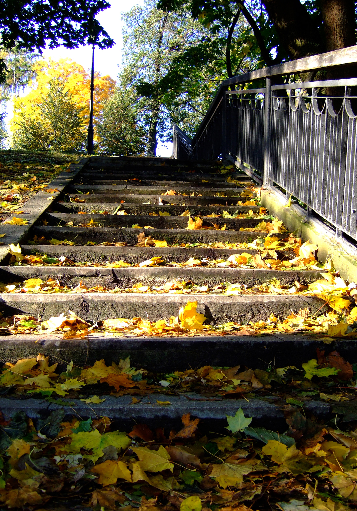 Fujifilm FinePix F20 sample photo. Осень photography
