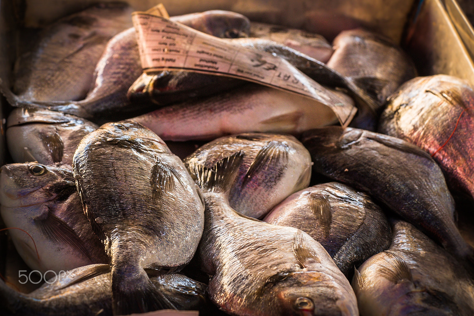 Canon EF-S 18-135mm F3.5-5.6 IS USM sample photo. At the fishmarket - what we eat photography
